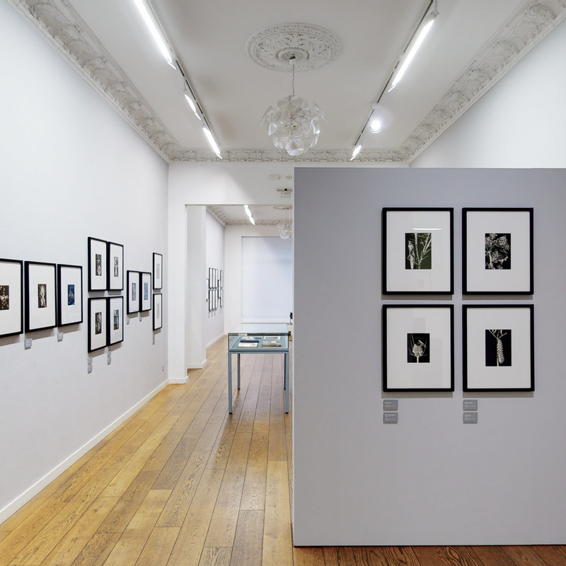 Installation Views 2022, Images by: ARTLAND