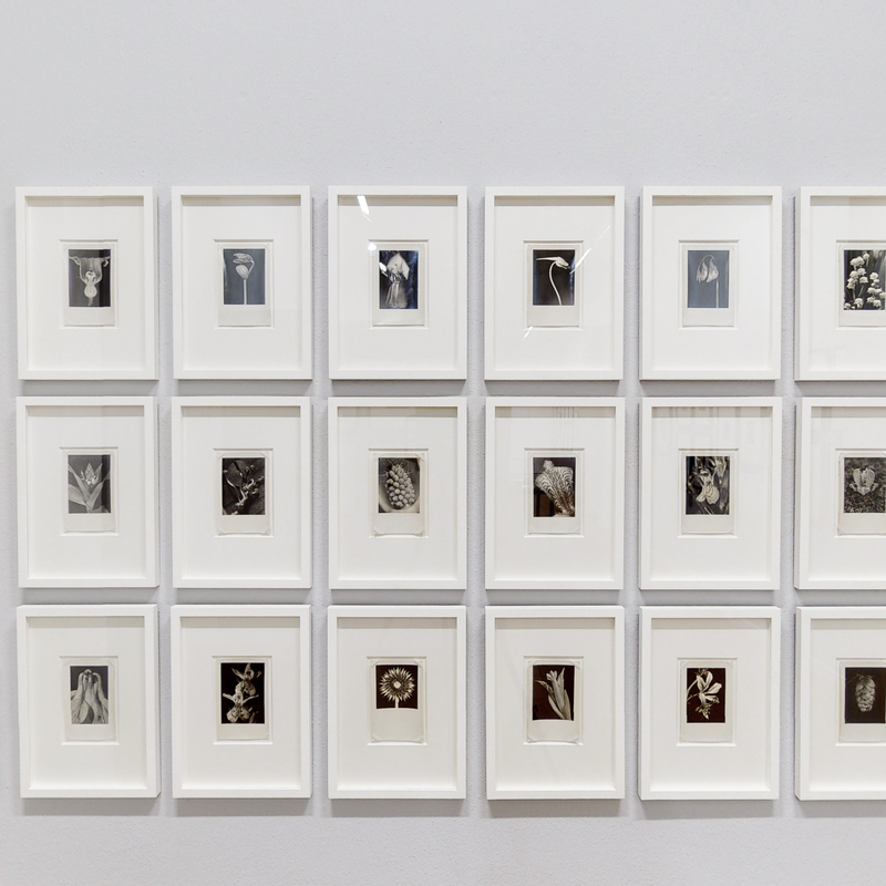 Installation Views 2022, Images by: ARTLAND