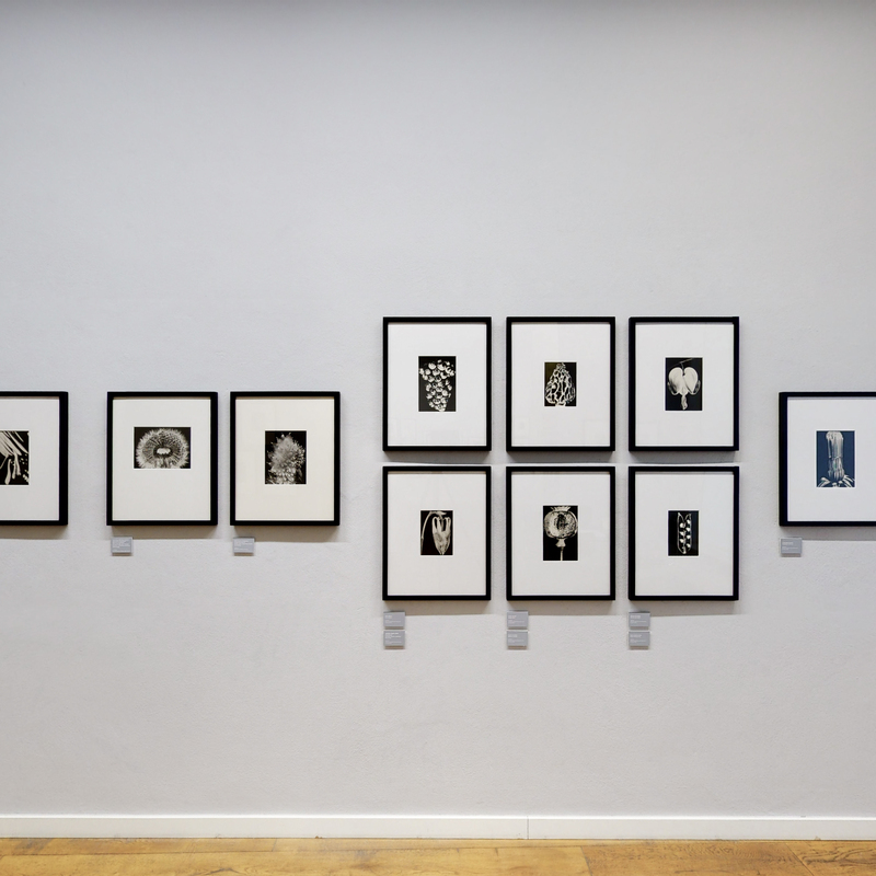 Installation Views 2022, Images by: ARTLAND