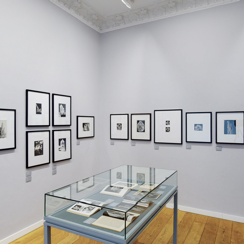 Installation Views 2022, Images by: ARTLAND