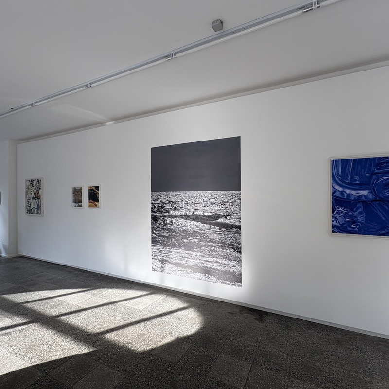 Installation Views 2024, Images by: André van Linn