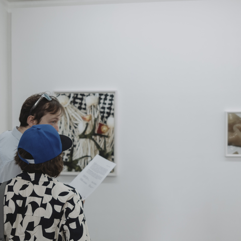 Installation Views 2024, Images by: André van Linn