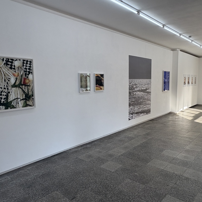 Installation Views 2024, Images by: André van Linn